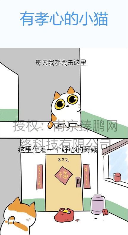 有孝心的小猫
